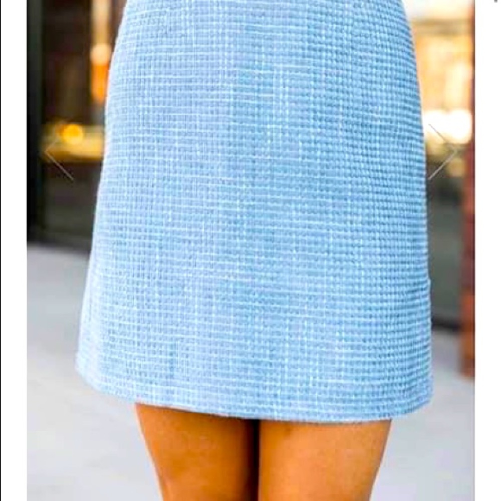 Pink Lilly Skirt